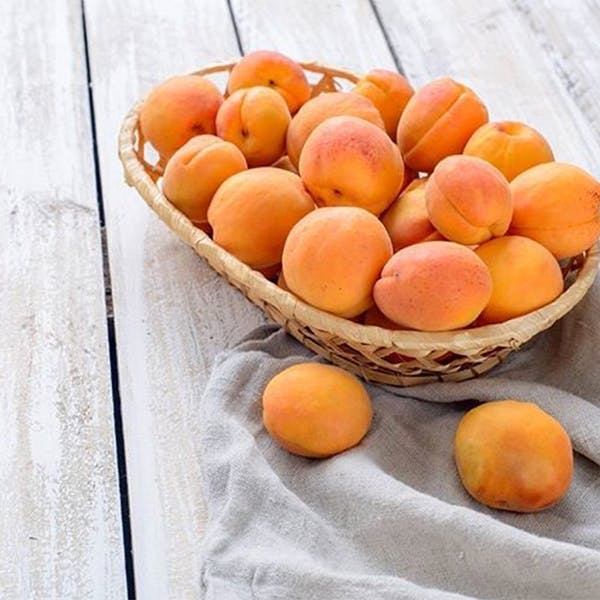 plant produce food fruit apricot