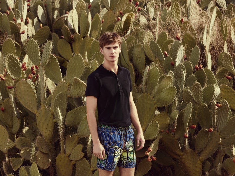 person human plant cactus shorts clothing apparel