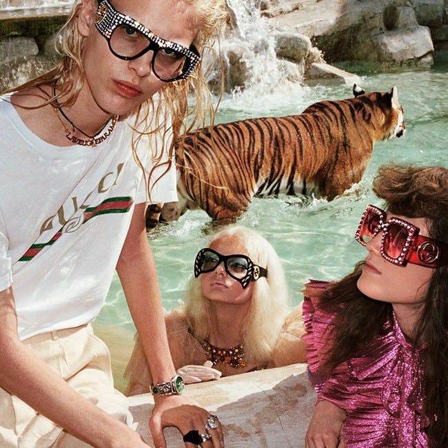 person human tiger animal mammal wildlife sunglasses accessories glasses clothing