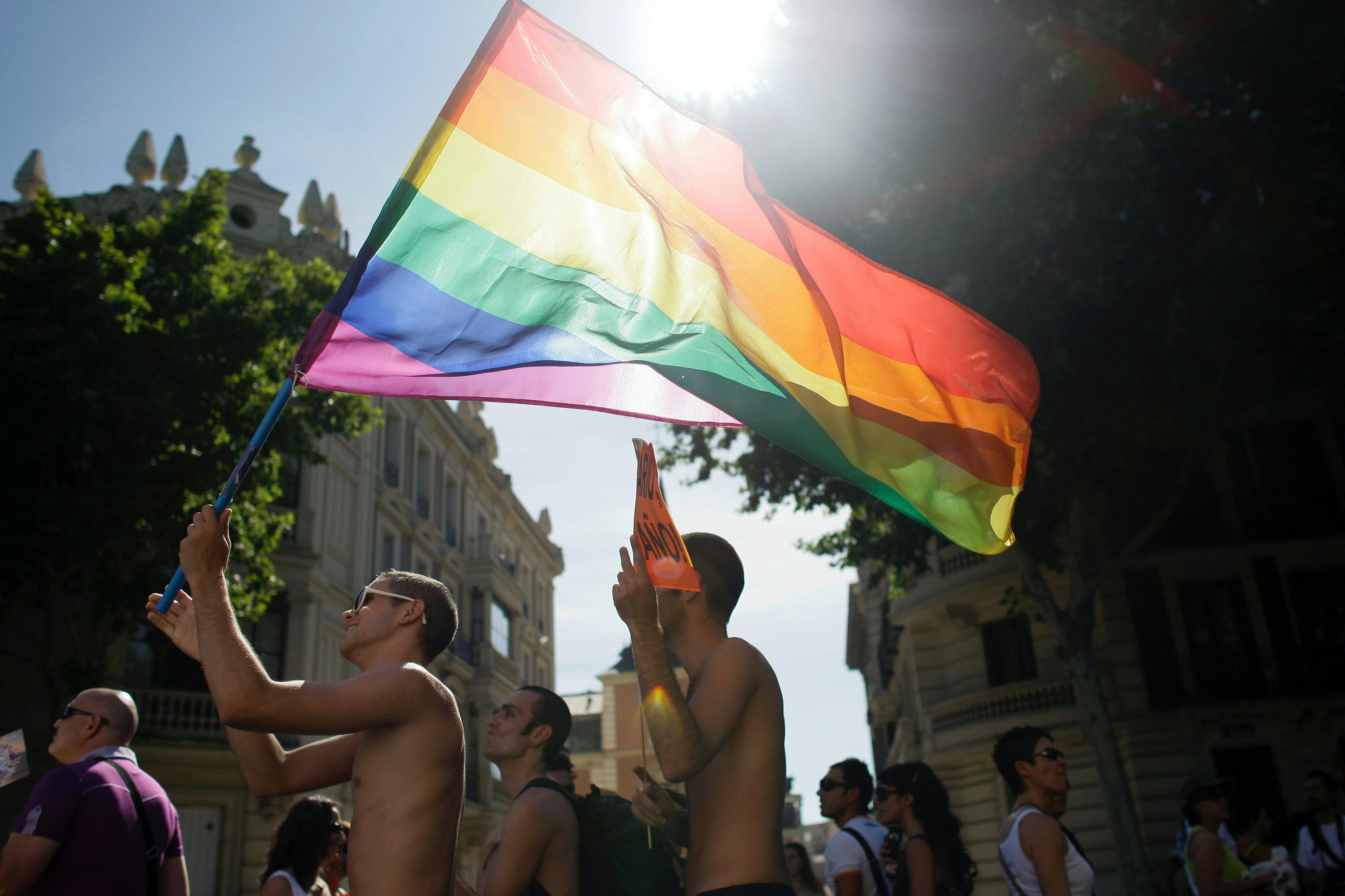 manifestaciones fiestas homosexualidad siglo xxi decada 2000 banderas madrid person human flag symbol
