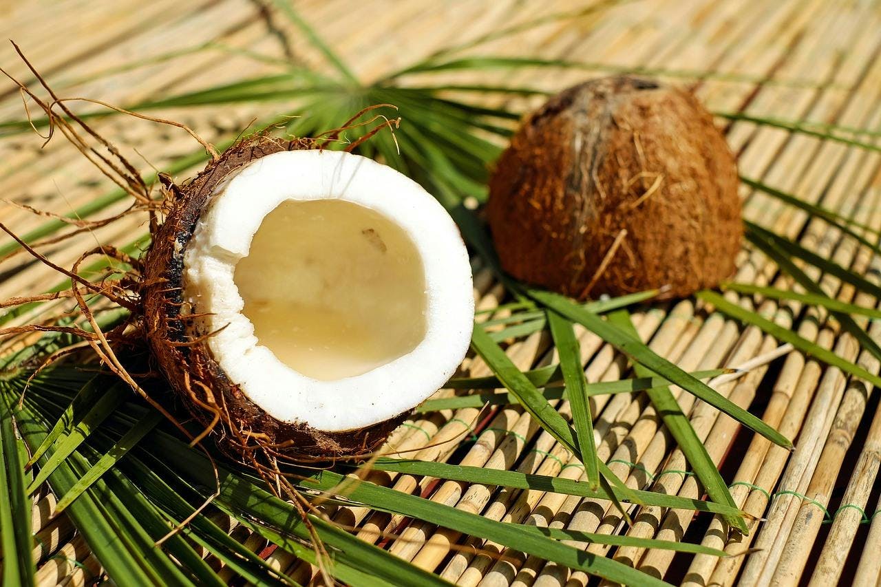 egg food plant nut vegetable fruit coconut