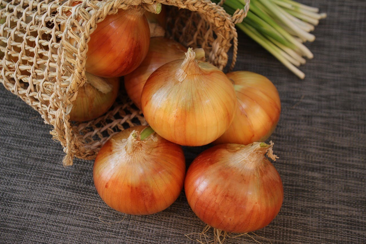 plant shallot onion vegetable food