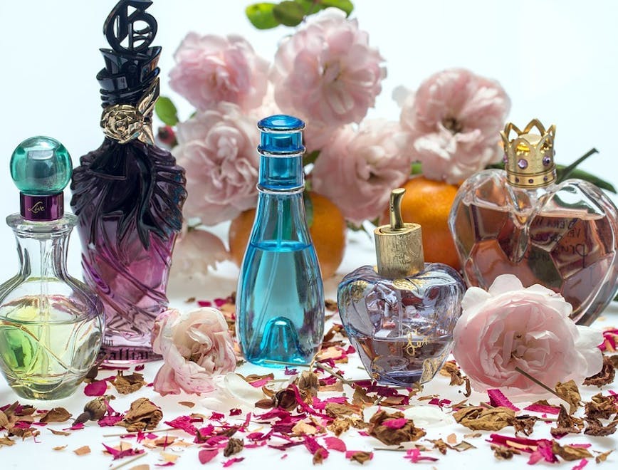 perfume bottle cosmetics petal plant flower blossom