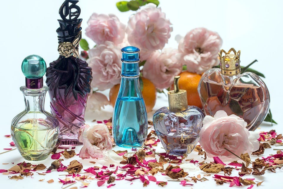 perfume bottle cosmetics petal plant flower blossom